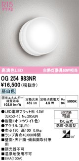 画像: オーデリック　OG254983NR(ランプ別梱)　エクステリア ポーチライト LEDランプ 昼白色 防雨・防湿型 オフホワイト