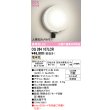 画像1: オーデリック OG264107LCR(ランプ別梱) エクステリア ポーチライト LEDランプ 電球色 高演色LED 人検知カメラ付 防雨型 マットシルバー (1)