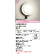 画像1: オーデリック OG264108LCR(ランプ別梱) エクステリア ポーチライト LEDランプ 電球色 高演色LED 人検知カメラ付 防雨型 黒色 (1)