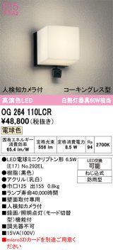 画像: [欠品中]オーデリック OG264110LCR(ランプ別梱) エクステリア ポーチライト LEDランプ 電球色 高演色LED 人検知カメラ付 防水パッキンレス型 防雨型 黒色