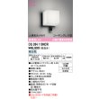 画像1: オーデリック OG264110NCR(ランプ別梱) エクステリア ポーチライト LEDランプ 昼白色 高演色LED 人検知カメラ付 防水パッキンレス型 防雨型 黒色 (1)