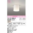 画像1: オーデリック　OL013006LR(ランプ別梱)　シーリングライト 非調光 LEDランプ 電球色 ￡ (1)
