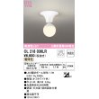 画像1: オーデリック　OL218036LR(ランプ別梱)　シーリングライト 非調光 LEDランプ 電球色 オフホワイト ￡ (1)