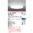 画像1: オーデリック　OL251613BCR　シーリングライト 12畳 調光 調色 Bluetooth リモコン別売 LED一体型 電球色〜昼光色 [♭] (1)