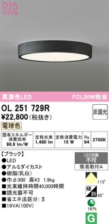 画像: オーデリック　OL251729R　シーリングライト 非調光 LED一体型 電球色 ブラック