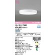 ol251730r
