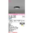 画像1: オーデリック　OL251782R　シーリングライト 非調光 LED一体型 昼白色 人感センサー付 ブラック (1)