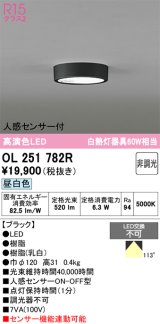 画像: オーデリック　OL251782R　シーリングライト 非調光 LED一体型 昼白色 人感センサー付 ブラック