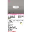 画像1: オーデリック　OL251863R　シーリングライト 非調光 LED一体型 温白色 人感センサー付 オフホワイト ￡ (1)