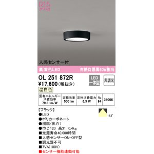 画像: オーデリック　OL251872R　シーリングライト 非調光 LED一体型 温白色 人感センサー付 ブラック