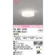 ol291137r