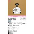 画像1: オーデリック　OL291334NR(ランプ別梱)　シーリングライト 非調光 和風 LEDランプ 昼白色 ブラック (1)