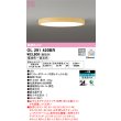 画像1: オーデリック　OL291420BR　シーリングライト 6畳 調光 調色 Bluetooth コントローラー別売 LED一体型 電球色〜昼光色 木調ナチュラル (1)