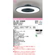 画像1: オーデリック　OL291439BR　シーリングファン 灯体一体型 8畳 調光 調色 Bluetooth リモコン付 スイッチ別売 LED一体型 電球色〜昼光色 チャコールグレー (1)