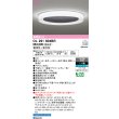 画像1: オーデリック OL291604BR シーリングライト 10畳 調光調色 Bluetooth リモコン別売 LED一体型 高演色LED チャコールグレー (1)