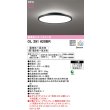画像2: [在庫あり] オーデリック OL291620BR シーリングライト 8畳 調光調色 Bluetooth リモコン付 LED一体型 高演色LED 黒色 ☆ (2)