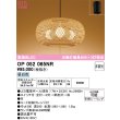 op052065nr