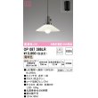画像1: オーデリック　OP087386LR　ペンダントライト 非調光 LEDランプ 電球色 フレンジタイプ ￡ (1)