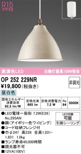 画像: オーデリック　OP252229NR(ランプ別梱)　ペンダントライト 非調光 LEDランプ 昼白色 フレンジタイプ アイボリー