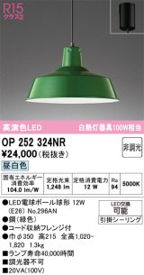 画像: オーデリック　OP252324NR(ランプ別梱)　ペンダントライト 非調光 LEDランプ 昼白色 フレンジタイプ グリーン