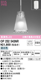 画像: オーデリック　OP252543NR(ランプ別梱)　ペンダントライト 非調光 LEDランプ 昼白色 フレンジタイプ