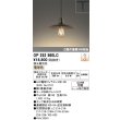 画像1: オーデリック　OP252560LC(ランプ別梱)　ペンダントライト LED電球フィラメント形 調光 プラグ 電球色 調光器別売 [♭] (1)