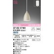 画像1: オーデリック　OP252577NR(ランプ別梱)　ペンダントライト 非調光 LEDランプ 昼白色 フレンジタイプ 波佐見焼 (1)