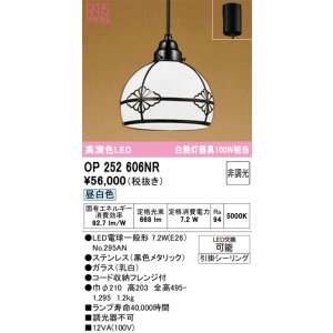 画像: オーデリック　OP252606NR(ランプ別梱)　ペンダントライト 非調光 LEDランプ 昼白色 フレンジタイプ