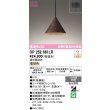 画像1: オーデリック　OP252661LR　ペンダントライト 調光 調光器別売 LED一体型 電球色 フレンジタイプ 鉄錆風 (1)