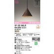 画像1: オーデリック　OP252662LR　ペンダントライト 調光 調光器別売 LED一体型 電球色 プラグタイプ 鉄錆風 (1)