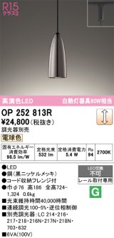 画像: オーデリック　OP252813R　ペンダントライト 調光 調光器別売 LED一体型 電球色 プラグタイプ 黒ニッケルメッキ