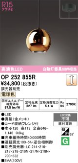 画像: オーデリック　OP252855R(ランプ別梱)　ペンダントライト 調光 調光器別売 LED一体型 電球色 フレンジタイプ 金メッキ