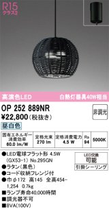 画像: オーデリック　OP252889NR(ランプ別梱)　ペンダントライト 非調光 LEDランプ 昼白色 フレンジタイプ 黒色