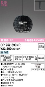 画像: オーデリック　OP252890NR(ランプ別梱)　ペンダントライト 非調光 LEDランプ 昼白色 プラグタイプ 黒色