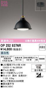 画像: オーデリック　OP252937NR(ランプ別梱)　ペンダントライト 非調光 LEDランプ 昼白色 フレンジタイプ 黒色