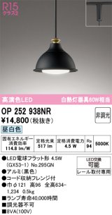 画像: オーデリック　OP252938NR(ランプ別梱)　ペンダントライト 非調光 LEDランプ 昼白色 プラグタイプ 黒色