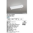 画像1: オーデリック　OR037007P1　非常灯・誘導灯 LEDランプ 昼白色 直管形LED 電池内蔵形 防雨・防湿型 (1)