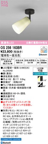 画像: オーデリック　OS256163BR(ランプ別梱)　スポットライト 調光 調色 Bluetooth コントローラー別売 和風 LEDランプ 電球色〜昼光色 フレンジタイプ 波佐見焼