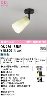 画像: オーデリック　OS256163NR(ランプ別梱)　スポットライト 非調光 和風 LEDランプ 昼白色 フレンジタイプ 波佐見焼