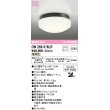 画像1: オーデリック　OW269016LR(ランプ別梱)　バスルームライト 非調光 LEDランプ 電球色 防雨・防湿型 ブラック (1)