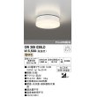 画像1: オーデリック　OW269039LD(ランプ別梱)　エクステリアポーチライト LEDランプ 電球色 ねじ込式 防雨・防湿型 ホワイト (1)
