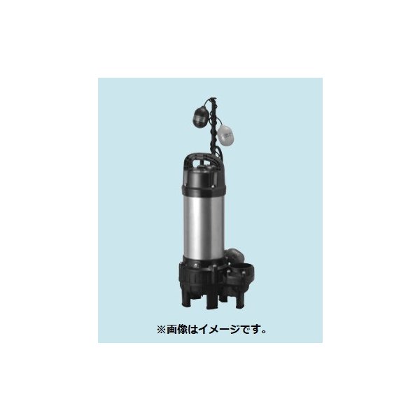 画像1: 排水水中ポンプ テラル　65PVPT-51.5　50Hz 樹脂製 雑排水タイプ [■] (1)
