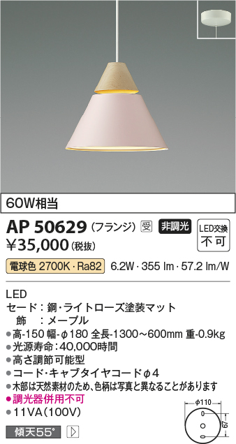 コイズミ照明 AP50629 ペンダントライト LED一体型 非調光 電球色 傾斜