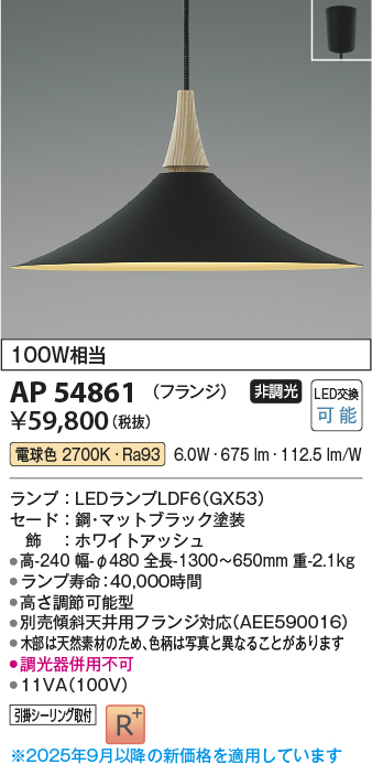 画像1: コイズミ照明 AP54861 ペンダント 非調光 LED 電球色 フランジタイプ マットブラック (1)